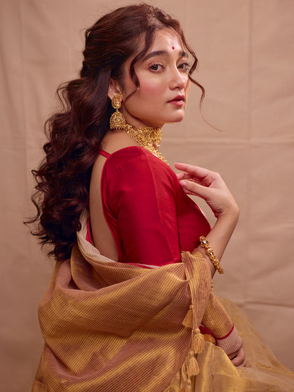 Aparna Golden Raga Tissue  Saree With Mulcotton Boder
