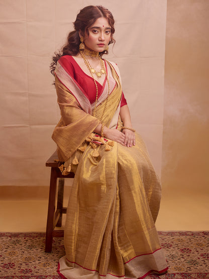 Aparna Golden Raga Tissue  Saree With Mulcotton Boder