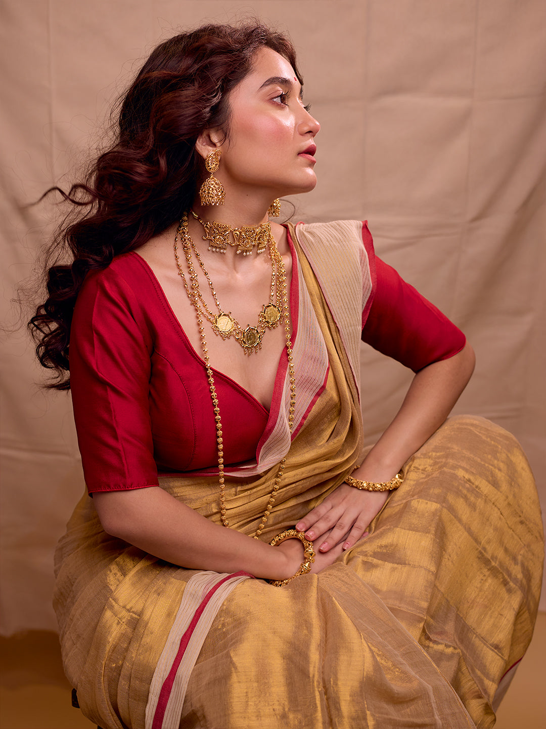 Aparna Golden Raga Tissue  Saree With Mulcotton Boder